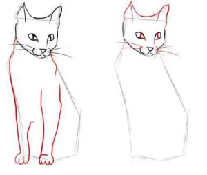 Cours-de-dessin-a-paris-comment-dessiner-la-chat