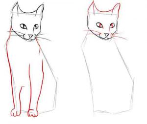 Comment Dessiner Un Chat De Manga Allodessin