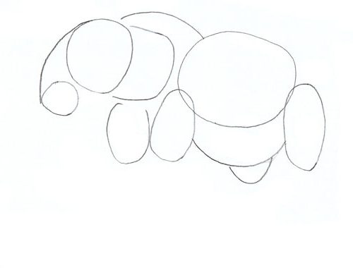 etape-2-comment-dessiner elephant