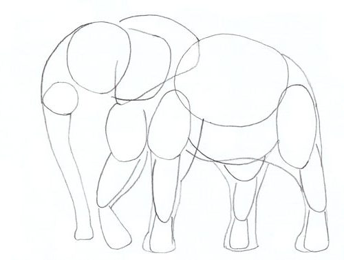 Comment Dessiner Un Elephant Stage De Dessin Artacademie Paris