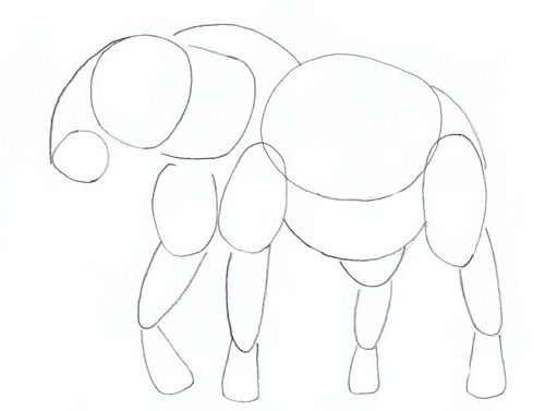 etape 3 comment dessiner elephant avec stage de dessin Artacademie PAris