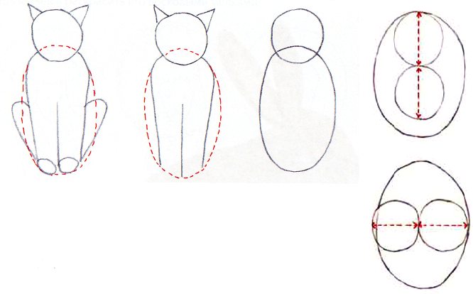 Comment Dessiner Un Chat Sur Stage De Dessin Gratuite Artacademie