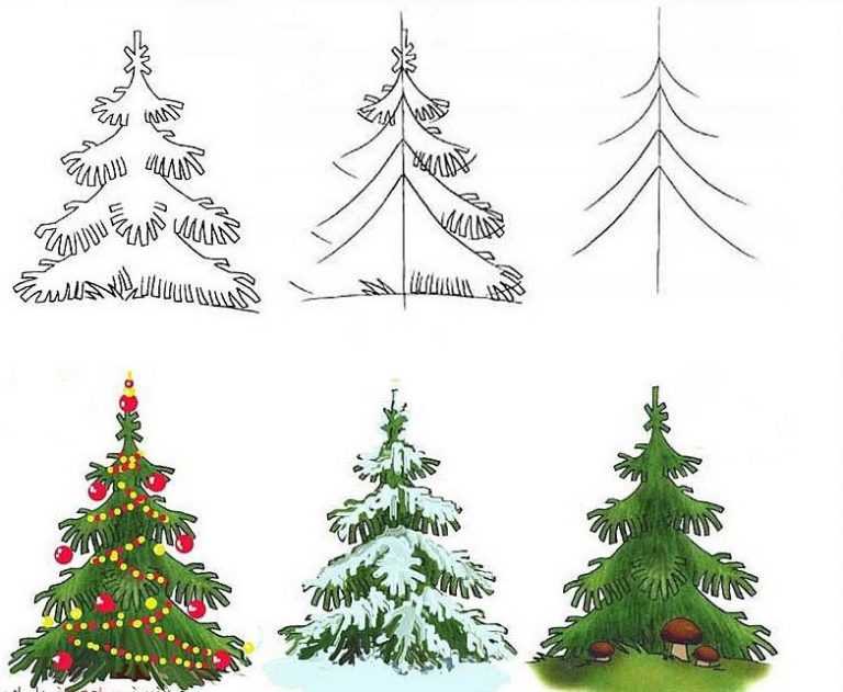 Comment dessiner un joli sapin sur le stage de dessin pour adulte