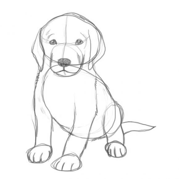 COMMENT DESSINER UN CHIEN MIGNON - TUTORIEL DE DESSIN 