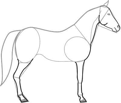 Dessiner un cheval