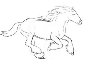 Comment Dessiner Un Cheval Artacadémie