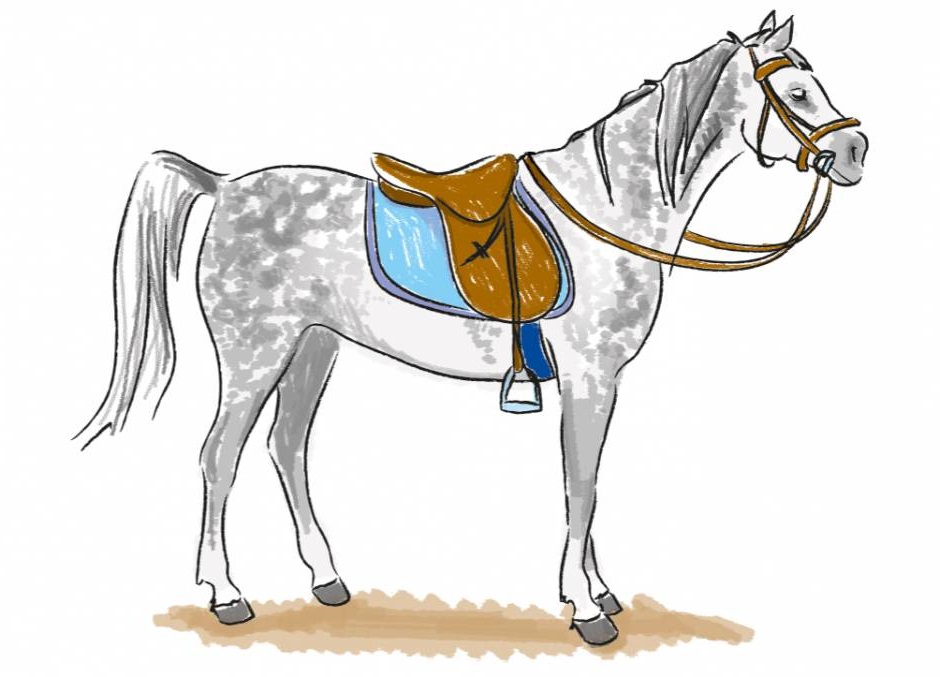 Comment dessiner un cheval. | Artacadémie