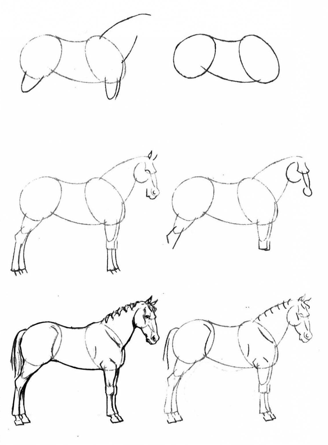 Dessin Cheval Facile Dessin Cheval Facile